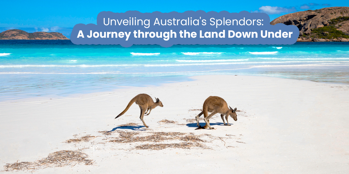 Wotif Unveiling Australia's Splendors: A Journey through the Land Down Under